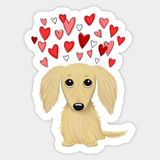 Cute Dog | Longhaired Cream Dachshund with Hearts Sticker